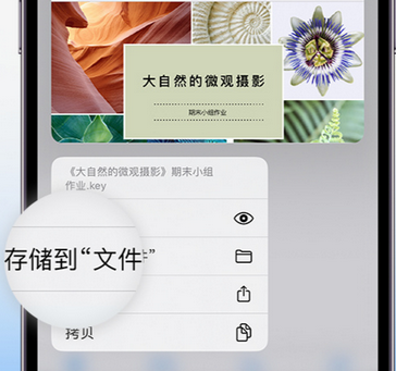 突泉apple维修中心分享iPhone文件应用中存储和找到下载文件