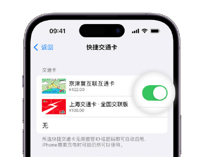 突泉apple维修点分享iPhone上更换Apple Pay快捷交通卡手绘卡面 