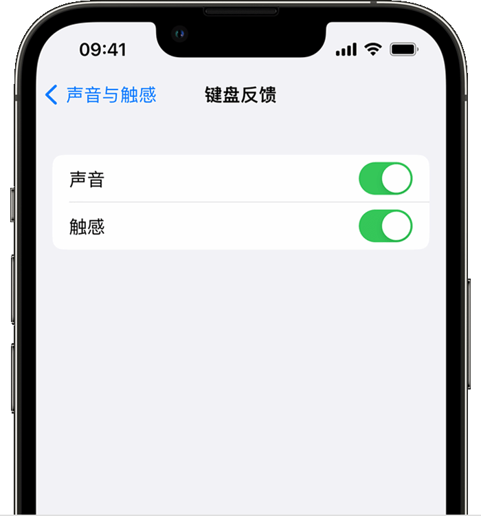 突泉苹果14维修店分享如何在 iPhone 14 机型中使用触感键盘 