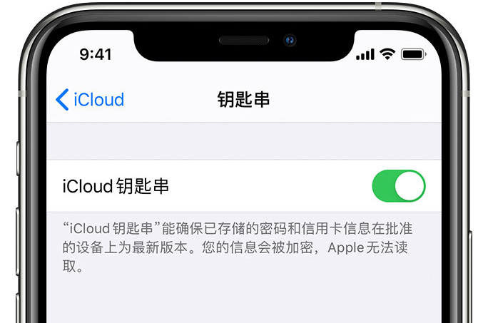 突泉苹果手机维修分享在 iPhone 上开启 iCloud 钥匙串之后会储存哪些信息 