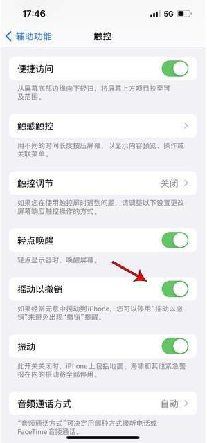 突泉苹果手机维修分享iPhone手机如何设置摇一摇删除文字 